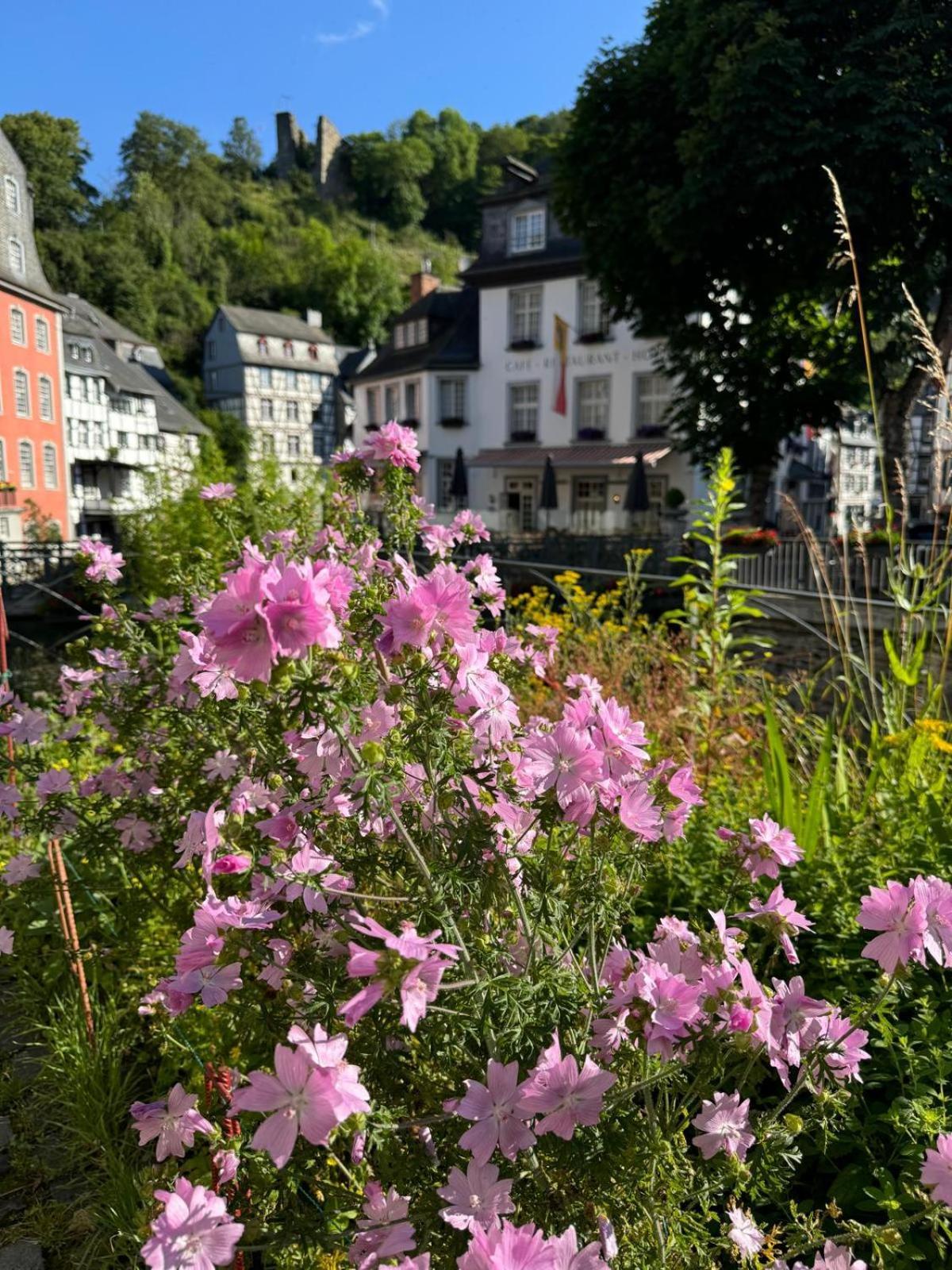 Fewo In Monschau Exterior photo